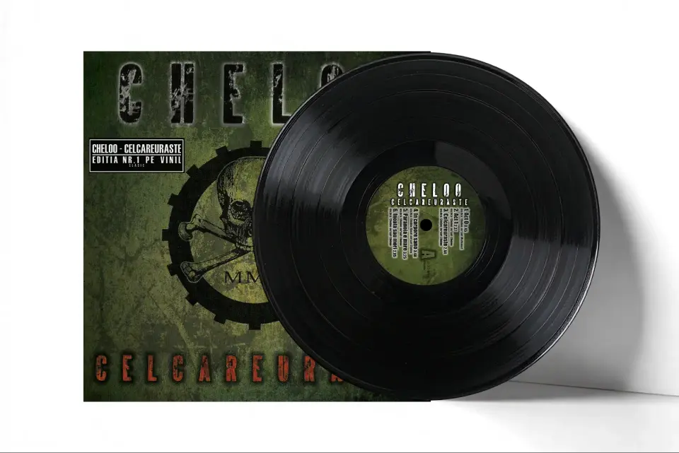 vinyl2.webp