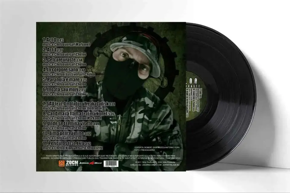vinyl3.webp
