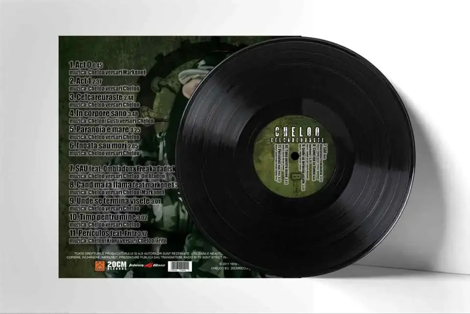 vinyl4.webp